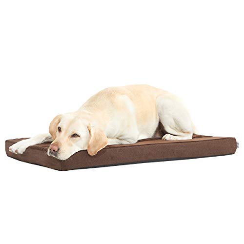 BARK Orthopedic Dog Bed with Memory Foam - Premium Comfort for Dogs and Puppies - Large Dog Bed for Joint Relief and Restful Sleep - Durable and Easy to Clean | Espresso, Large