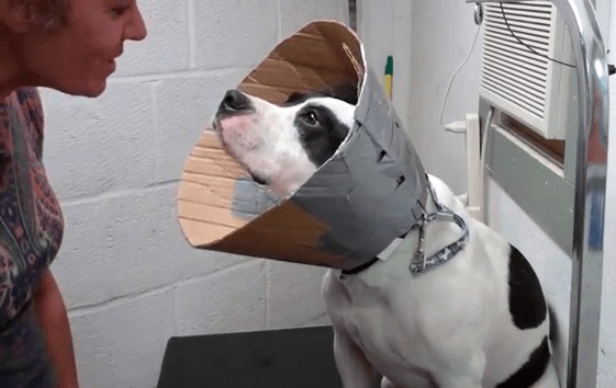 DIY Cardboard E Cone