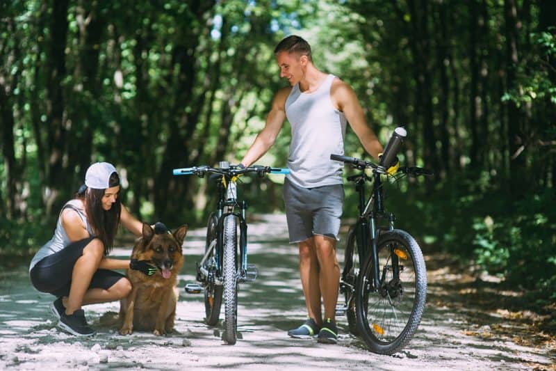 dog_bike_leash