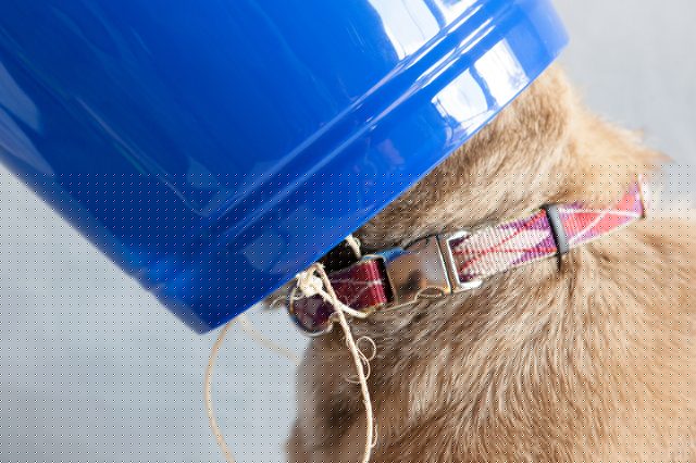 E cone bucket