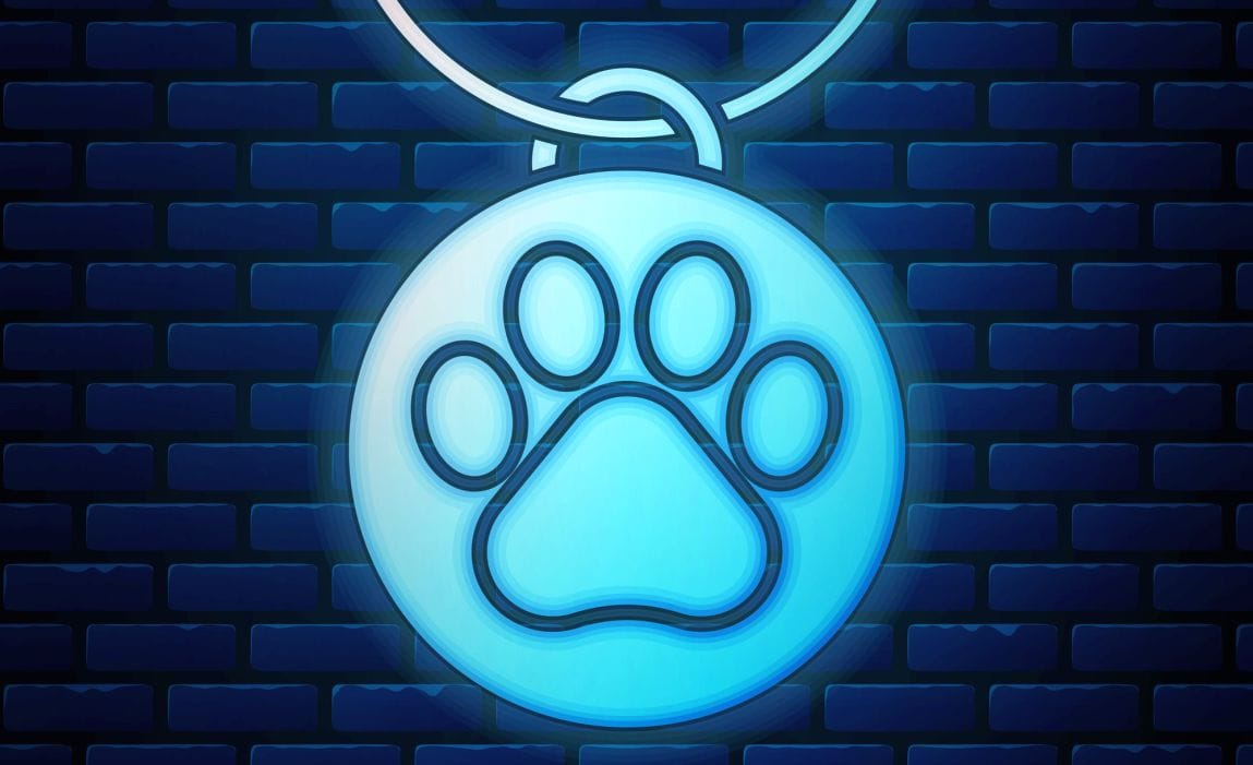 Glow-in-the-dark dog ID tag