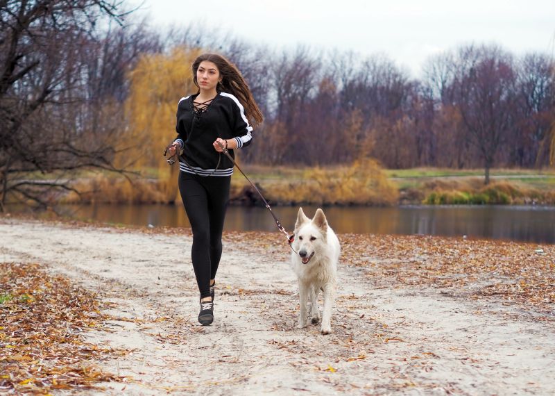 jogging with your dog