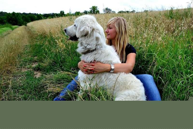 why dogs lean
