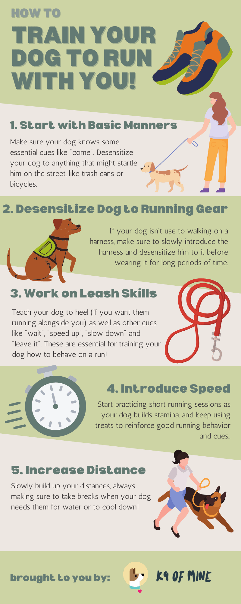 dog running infographic